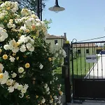 Particolari Del Brenta