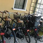 Particolari Del Brenta Oriago Di Mira