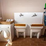 Particolari Del Brenta
