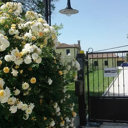 Particolari Del Brenta
