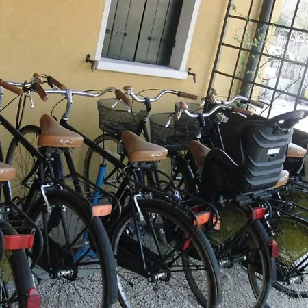 Particolari Del Brenta Oriago Di Mira
