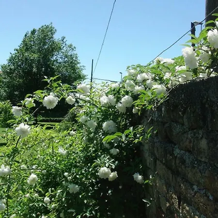 Particolari Del Brenta Apartmán *
